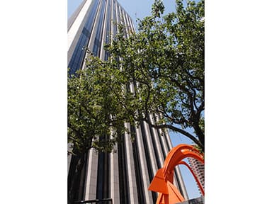 Capital Group Buys 55-Story Corporate Office Headquarters in Downtown Los Angeles for $210M