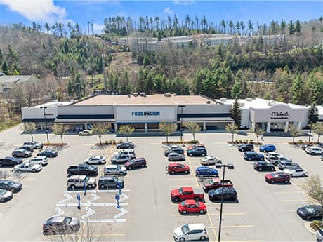 Orion Buys Food Lion-Anchored Shopping Center in Boone, North Carolina for $26.1M. REBusinessOnline